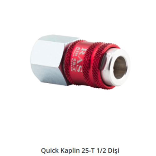 RAS ÇABUKLAŞTIRICI VALF GÖVDE 1/4 İÇTEN YİVLİ